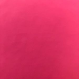 Meet your Posher, Shelby